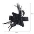 AGF00215 - Black Feather & Flower Hair Fascinator