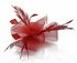 LSH00148 - Red Feather & Mesh Flower Fascinator on Clip