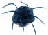 LSH00136 - Teal Feather and Mesh Flower Fascinator