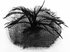 LSH00118 - Black Mesh Hat Feather Fascinator